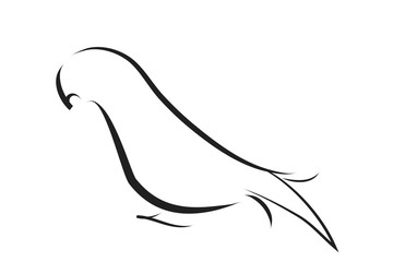 Vector illustration of bird logo.