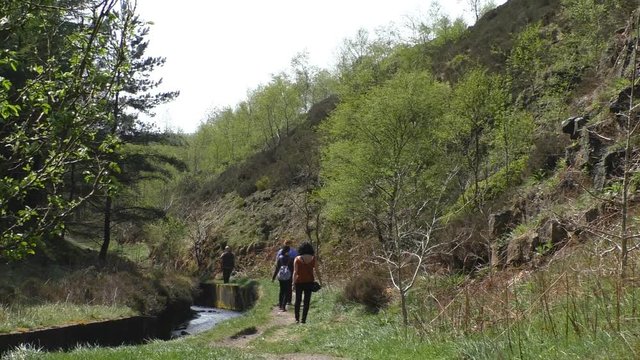 Group of four adult people walking along small canalized stream in the hilly rural area