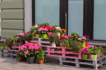 Fototapeta na wymiar Flowers outside of flower shop