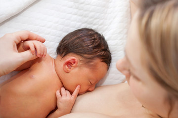 Fototapeta na wymiar Newborn baby breastfeeding after birth.