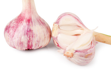 two fresh garlic head isolated on white background