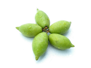 thai fresh fruit hog plum in thailand this fruit is called makok 1