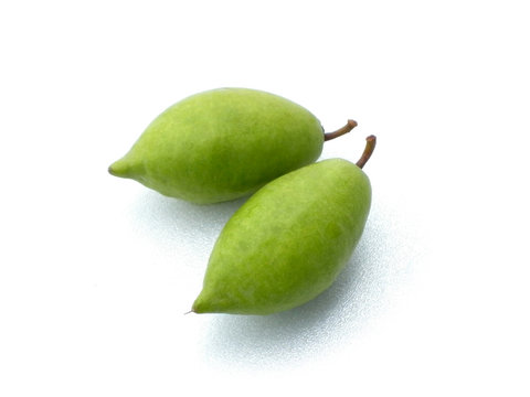 thai fresh fruit hog plum in thailand this fruit is called makok 9