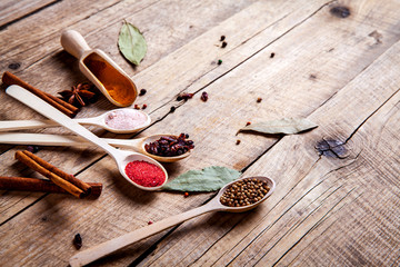 Spices on wooden background. With empty space for advertising text