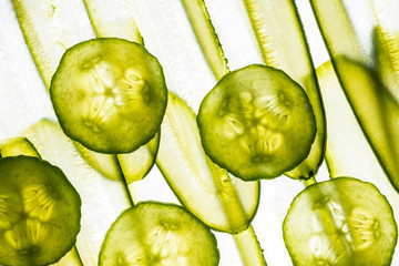 art background from sliced cucumber