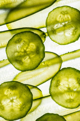art background from sliced cucumber