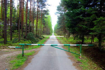 security barrier on road in forest