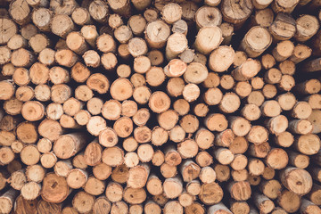 Stacked of wood log  for construction buildings background