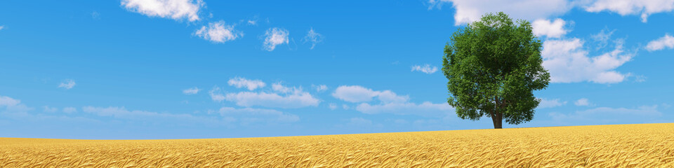 golden wheat field with isolated tree and blue sky