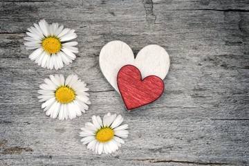 Plakat Love. Valentines day heart. Red heart and daisy flowers on old wood background for love. 