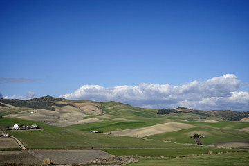 Fototapeta na wymiar hermoso campo verde del sur de Andalucía