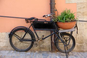 Fototapeta na wymiar Bicycle with a flowerpot