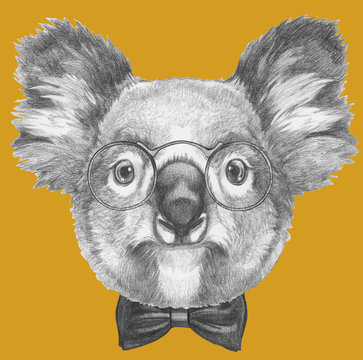 Original drawing of Koala with glasses and bow tie. Isolated on colored background.