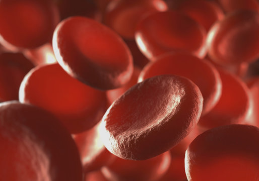 Red blood cells, illustration