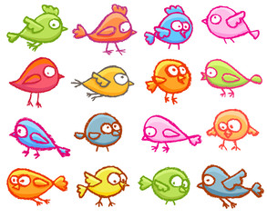 Cute little birds