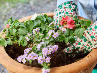 Woman gardening