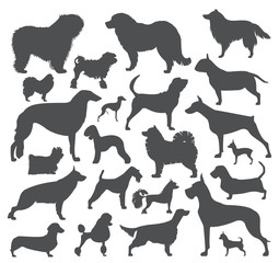 Dog icon set. Heatlh care, vet, nutrition, exhibition