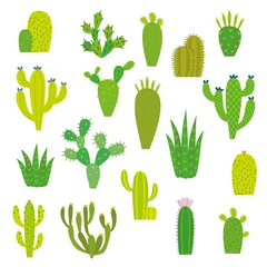 Foto op Canvas Cactus collection in vector illustration   © alvaroc