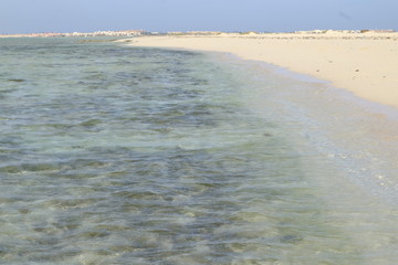 Soft wave of the sea on sandy beach