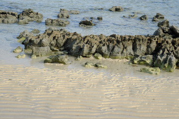Soft wave of the sea on sandy beach