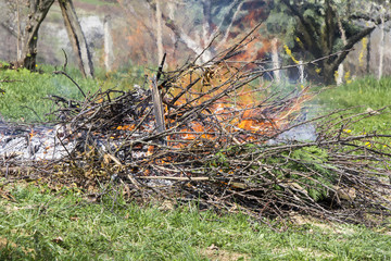 Fire and Smoke from during Burning branches