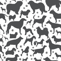 Dog seamless pattern. Heatlh care, vet, nutrition, exhibition