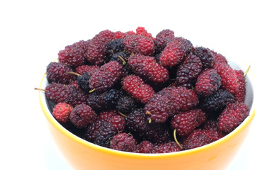 Mulberry isolated on white background