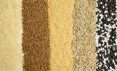 Background of different kinds of grains. Close up 