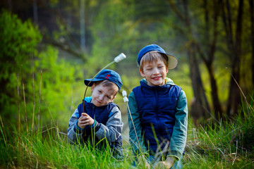 Fototapeta na wymiar Two boys holding stick and ready for eating roasted marshmallow