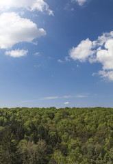 Fototapeta premium Luftbild eines Waldes