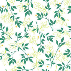 植物のパターン