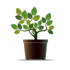 Green Flower and Pot. Vector Illustration.