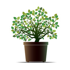 Green Flower and Pot. Vector Illustration.