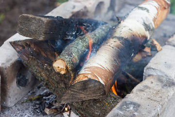 campfire wood for barbecue
