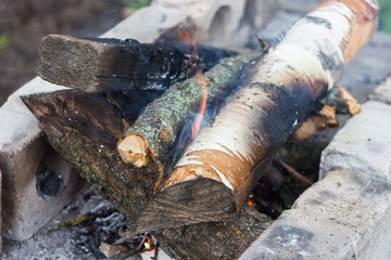 campfire wood for barbecue