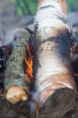 campfire wood for barbecue