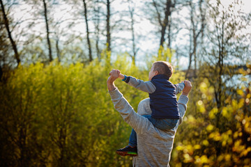 Back view of father  his son on shoulders on nature