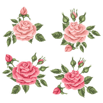 Floral elements with vintage roses. Decorative retro flowers. Objects for decoration wedding invitations, romantic cards