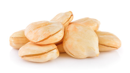 Asian Palmyra palm, Toddy palm, Sugar palm on white background