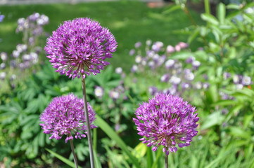 Die Schlichtheit der Natur