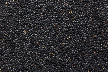 черная чечевица