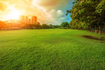 Foto op Canvas beautiful morning light in public park with green grass field an © stockphoto mania