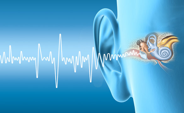 Human ear anatomy with sound wave, medically accurate 3D illustration