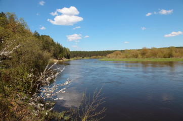 Neris river in spring