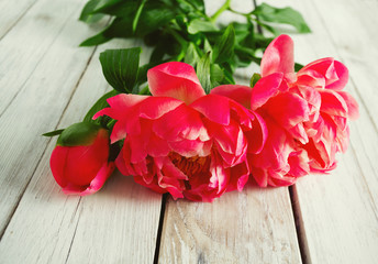 beautiful peonies on wooden surface