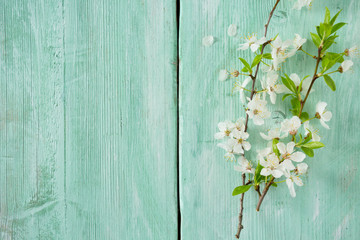 spring flowers on wooden surface