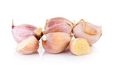 garlic on white background