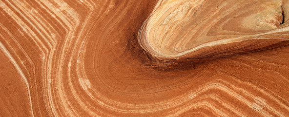 The Wave detail, Paria Canyon, Arizona
