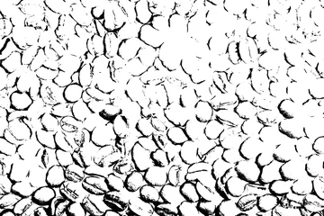 Rolgordijnen black and white texture pattern vector illustration © fotoscool