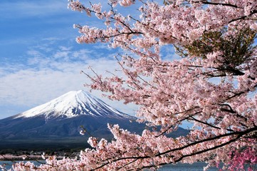 富士山と桜